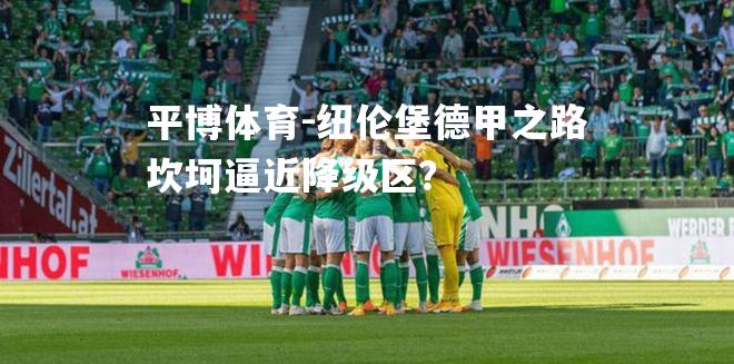 纽伦堡德甲之路坎坷逼近降级区？
